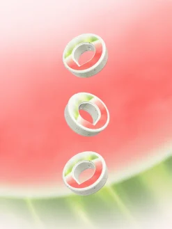 Pastèque
